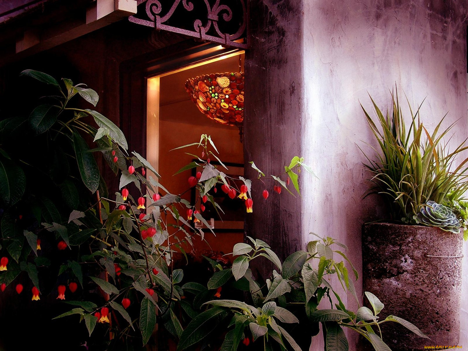 sensual, light, 